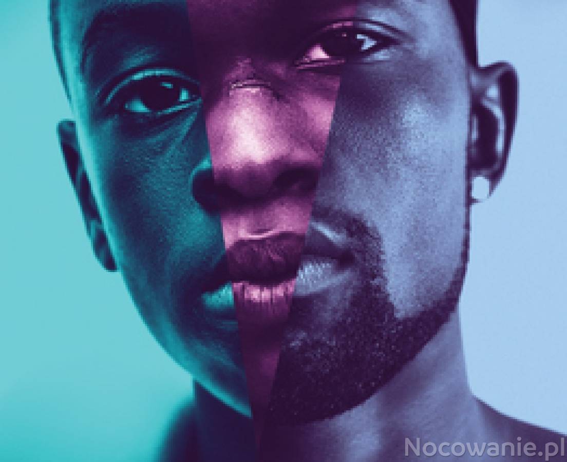BNP PARIBAS Kino Letnie Sopot-Zakopane w Giżycku: Moonlight