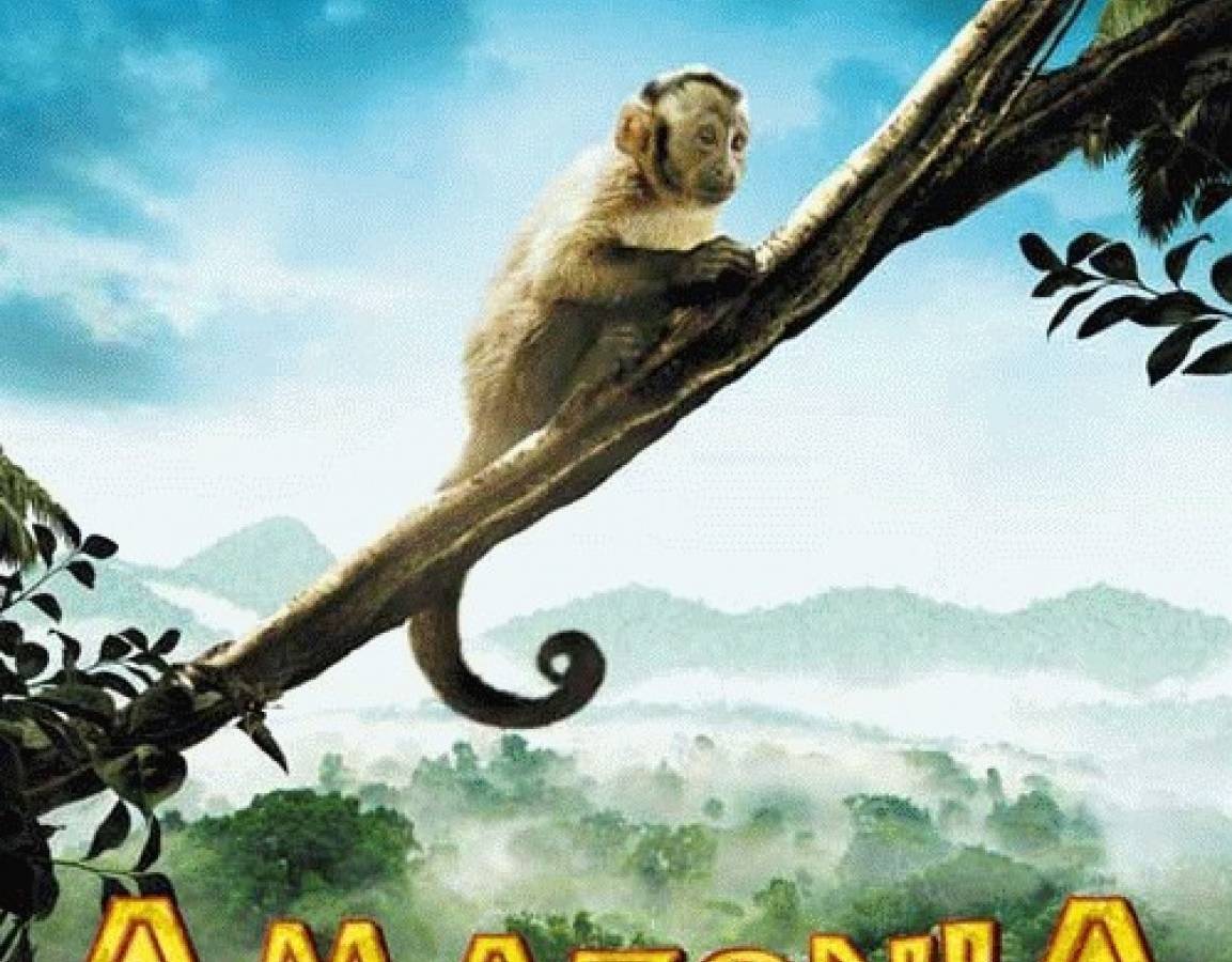 BNP PARIBAS Kino Letnie Sopot-Zakopane w Zakopanem: Amazonia.Przygody małpki Sai