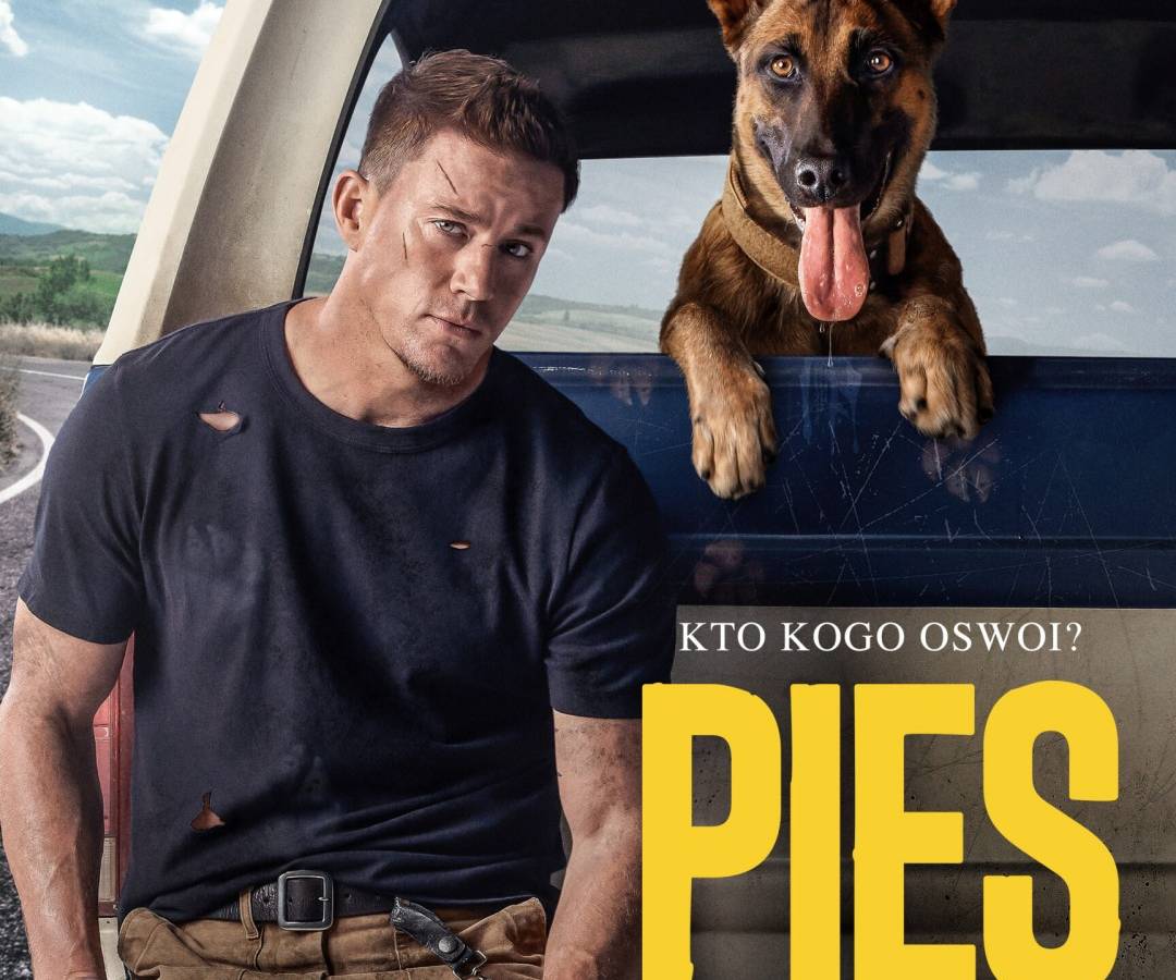 BNP PARIBAS Kino Letnie Sopot-Zakopane w Zakopanem: Pies