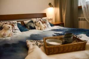 Apartament MISIOK