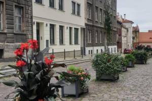 Apartamenty pod Katedrą