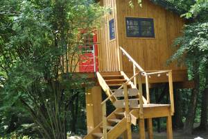 Węgiełek Treehouse