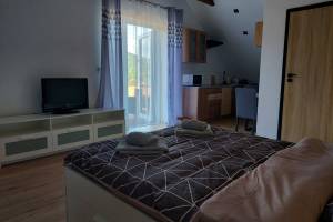 GO2BESKIDY APARTAMENT ODSAPKA