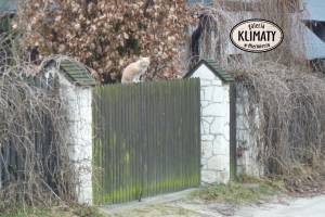 Galeria KLIMATY w Mięćmierzu - Dom Pracy Twórczej