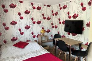Willa Safra Pokoje w Centrum Szczawnicy