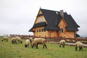 Szlembark
