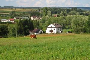 Ołpiny