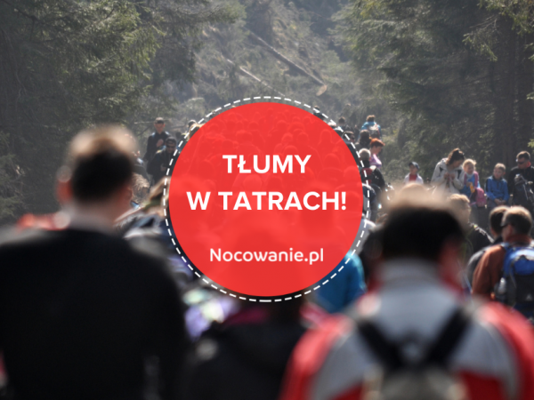 Rekordowy lipiec w Tatrach. Takich tłumów jeszcze nie było!