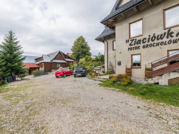 Ziaciówka Ziaciówka