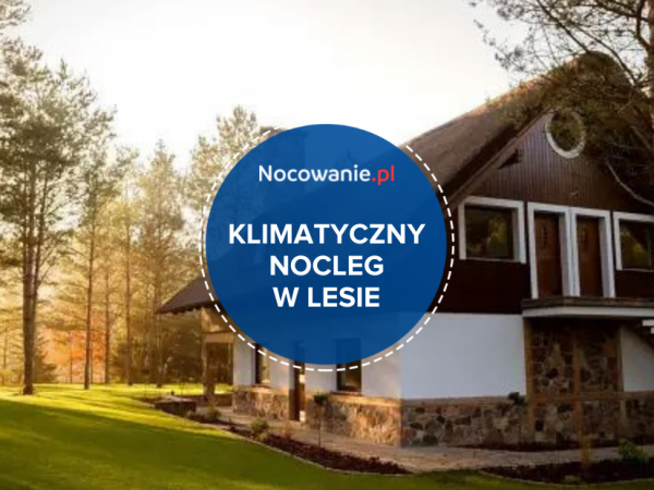 Klimatyczny nocleg w lesie. Poznaj wyjątkową propozycję z Borów Tucholskich