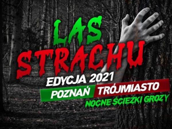 Gra terenowa "Las Strachu" w Adventure Park w Gdyni