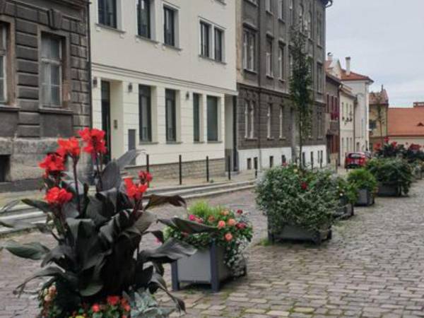 Apartamenty pod Katedrą Apartamenty pod Katedrą