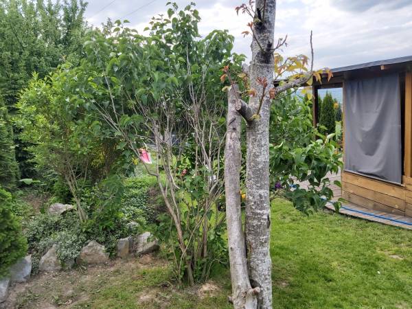 Pokoje pod Czarcim Kamieniem Pokoje pod Czarcim Kamieniem