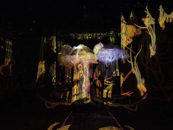Spektakl "Historia naturalna czyli o niezwykłych żyjątkach" w Teatrze Andersena