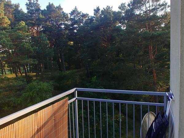 Apartament z widokiem na las Apartament z widokiem na las