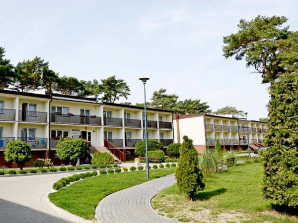 Złota Rybka Złota Rybka