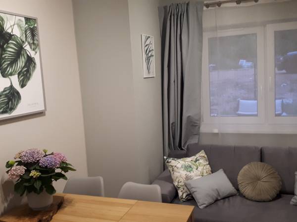 Apartamenty Dębowe Apartamenty Dębowe