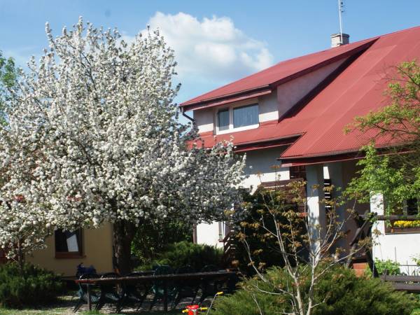 Agroturystyka Romanów Agroturystyka Romanów