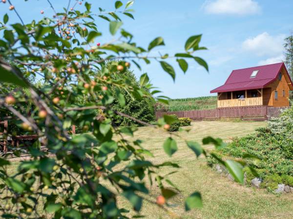 Siedlisko nad Biebrzą Siedlisko nad Biebrzą