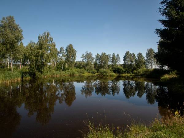 Ośrodek Wypoczynkowy Ranczo Ośrodek Wypoczynkowy Ranczo