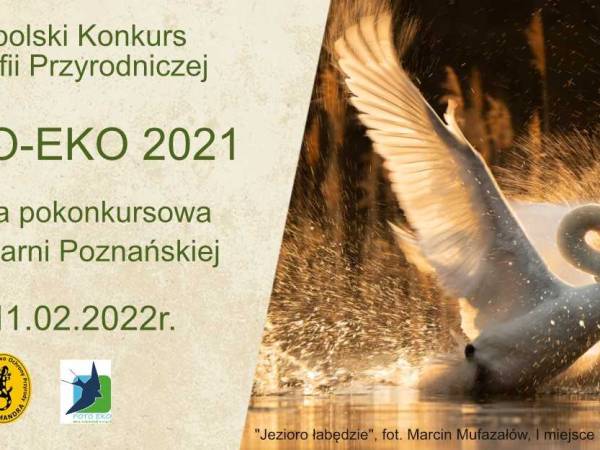 Wystawa "FOTO-EKO 2021" w Palmiarni Poznańskiej