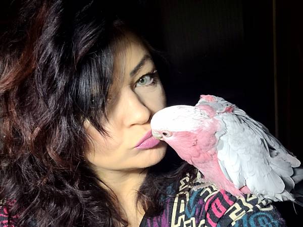 Nasza papuga Tilja dająca buziaka
