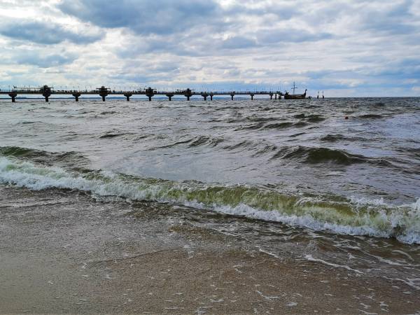 Willa Olga - okolica