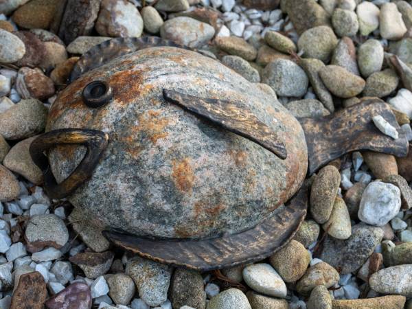 Pokoje Gościnne Albatros 
