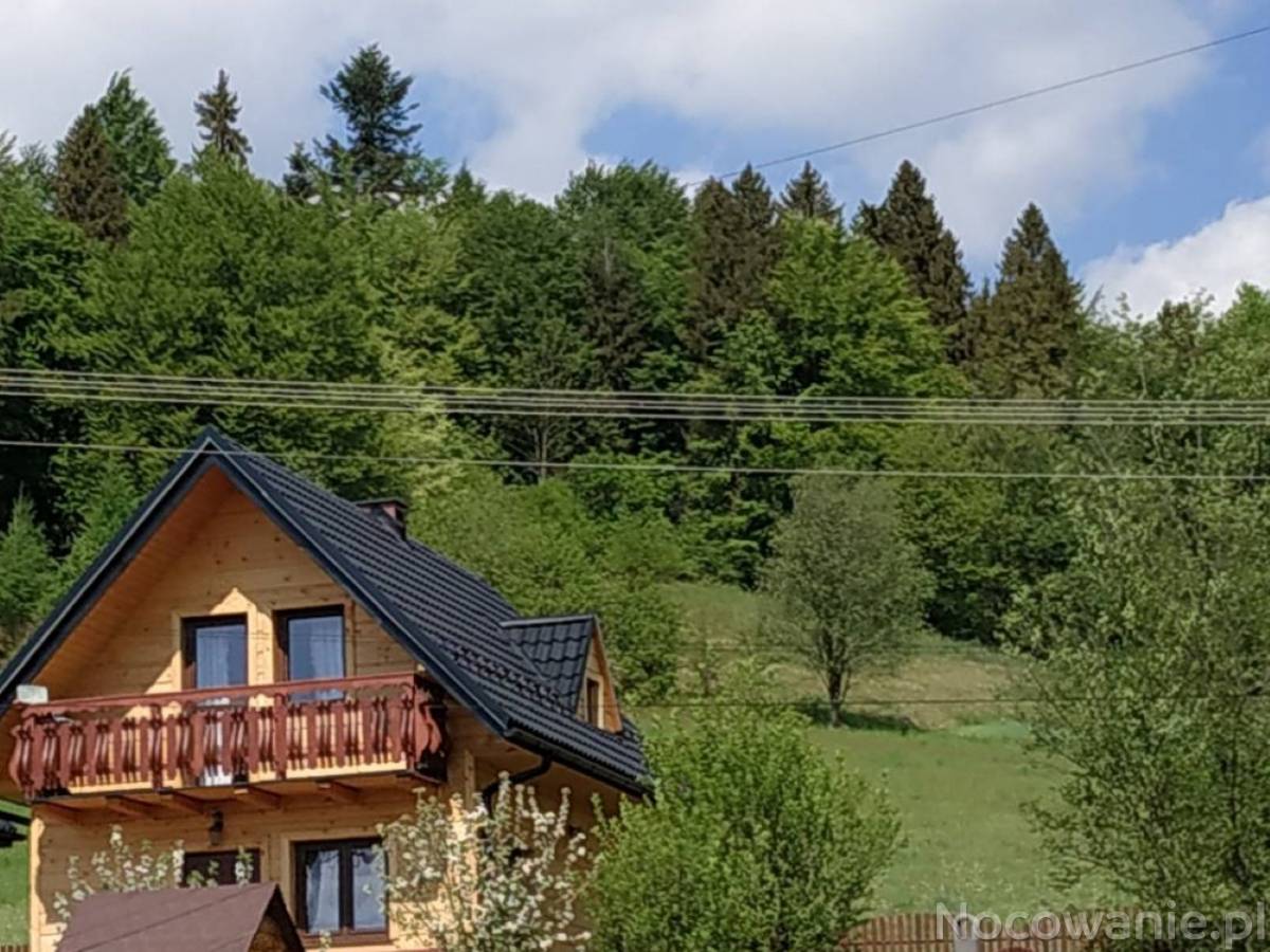 Search code, repositories, users, issues, pull requests... visual data 7