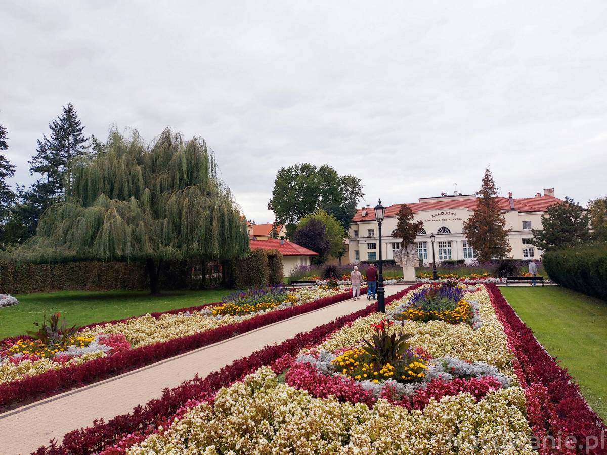 Promocja jesień w EdMarze !