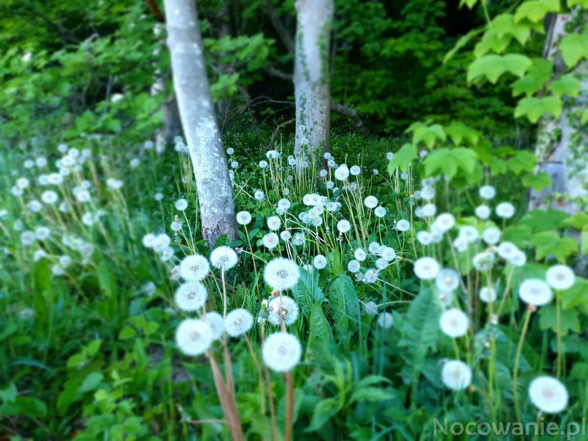 Noclegi w ustronnym miejscu