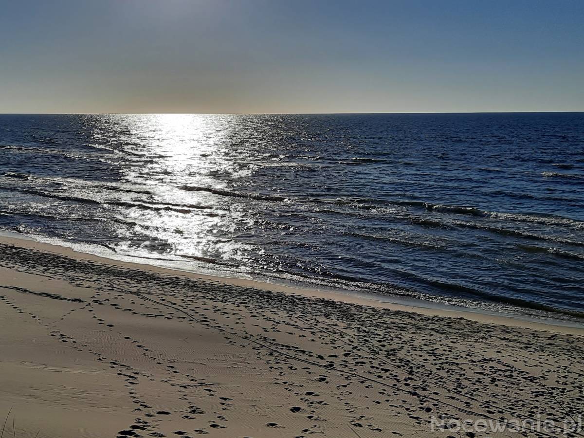 Wolny tydzień 31.07.-1.08.2021r. Zapraszam!!!