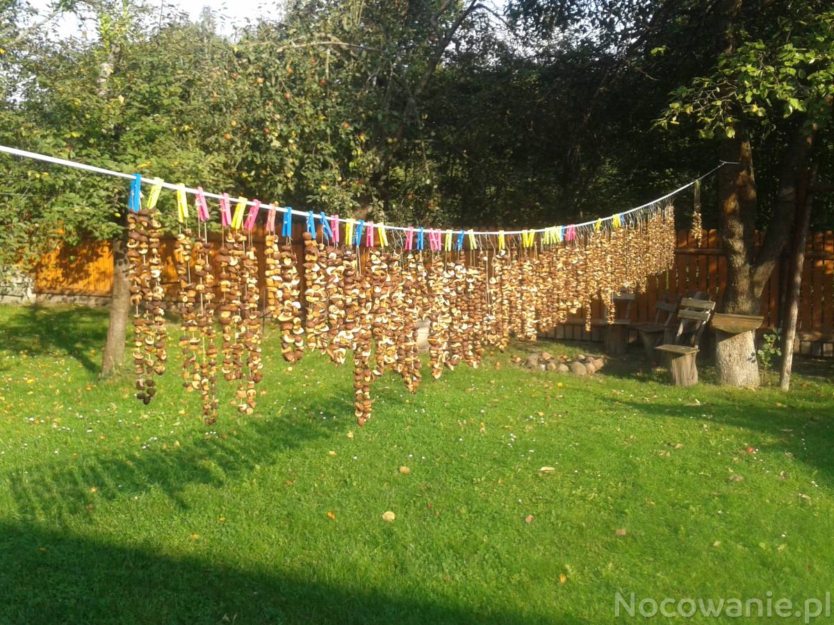 Oferta poza weekendem