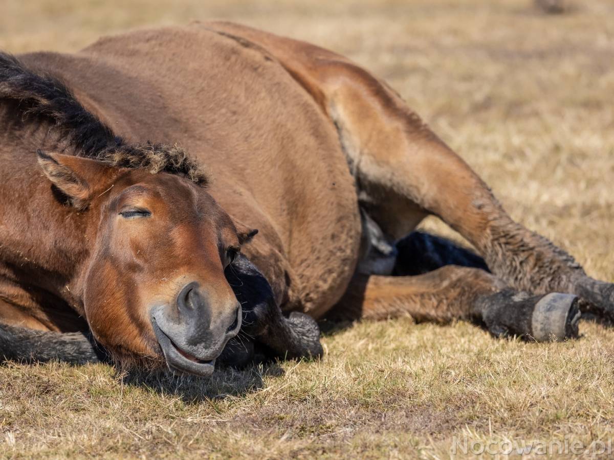 Noclegi w ustronnym miejscu