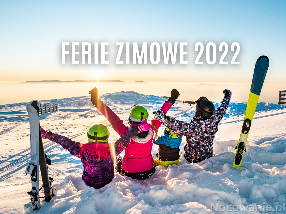 Ferie Zimowe 2023, Całoroczny Domek Luna