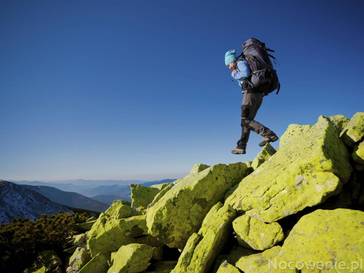 7 noclegów + 1 nocleg gratis