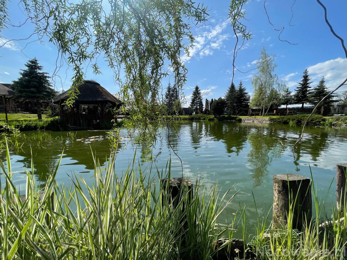 Agroturystyka Mirabelkowe Zacisze