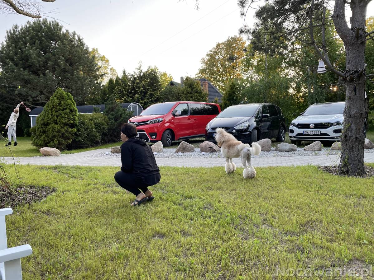 Wczasy z psem, FOLGI Domki Jeżowa