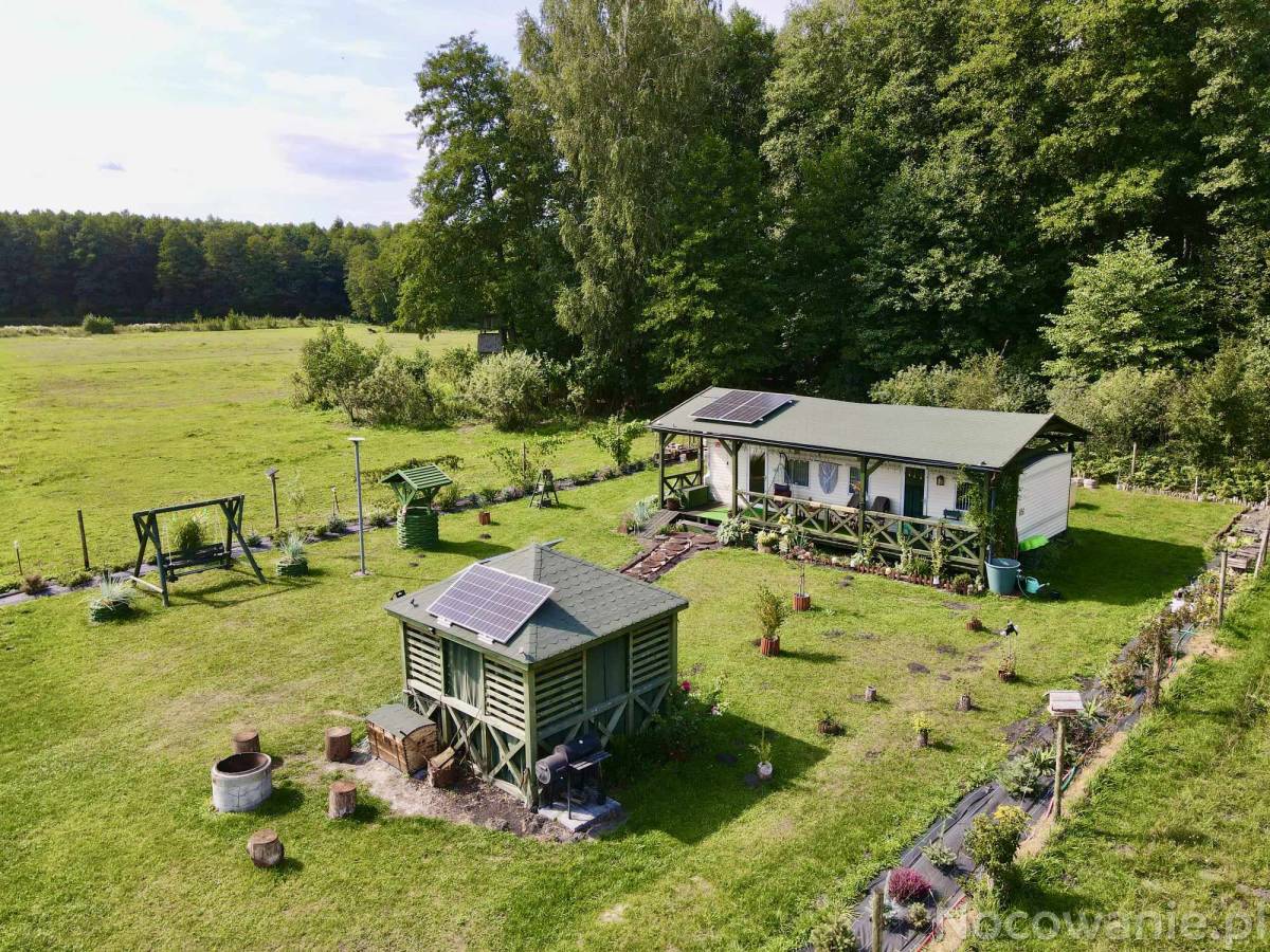 Domek pod lasem u Alicji