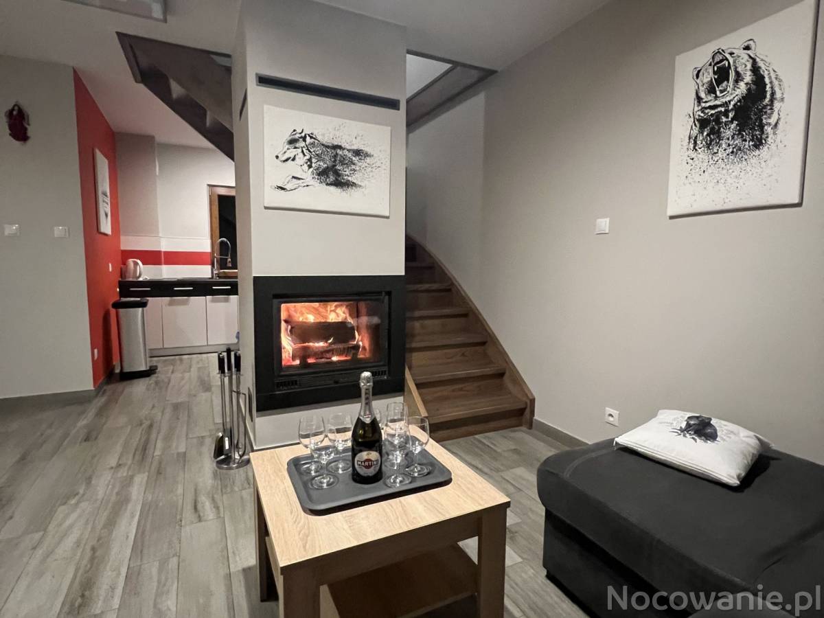 Sylwester 23/24 w Bieszczadach 