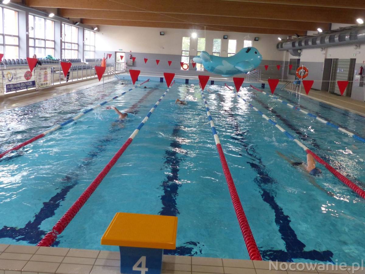 Promocja na pływalnie MOSiR