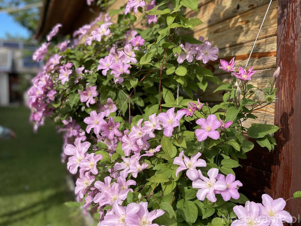 Dla turystów portalu