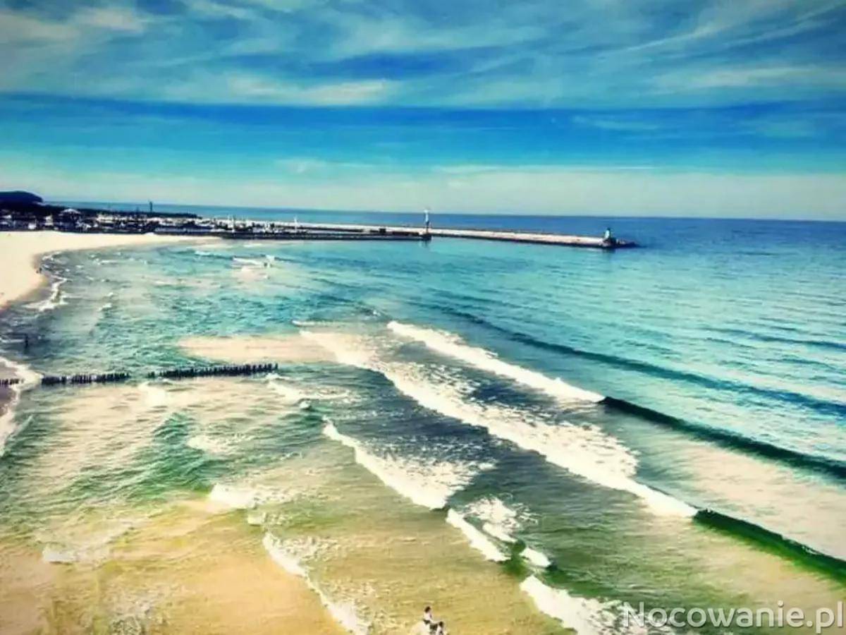 PROMOCJA WRZESIEŃ 2025