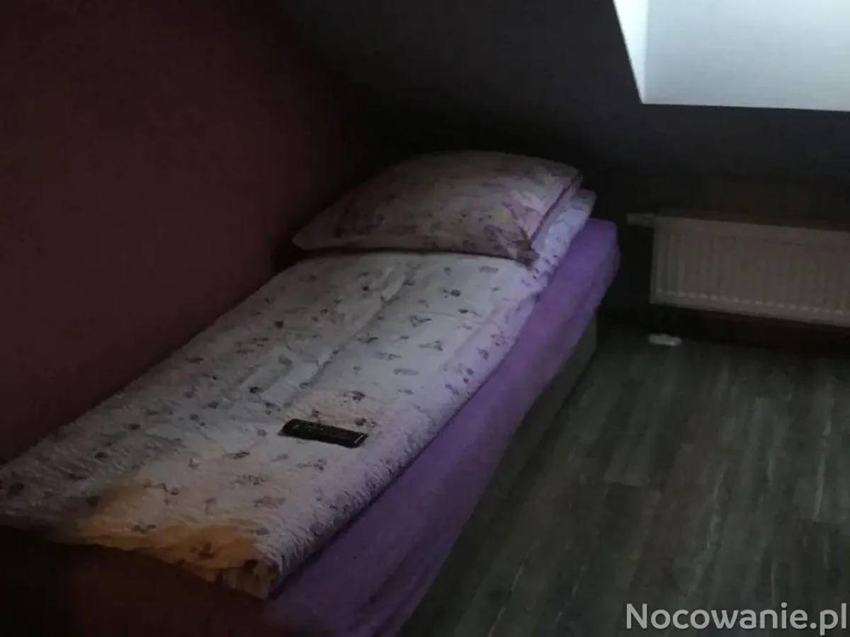 Mieszkania i Pokoje do wynajęcia