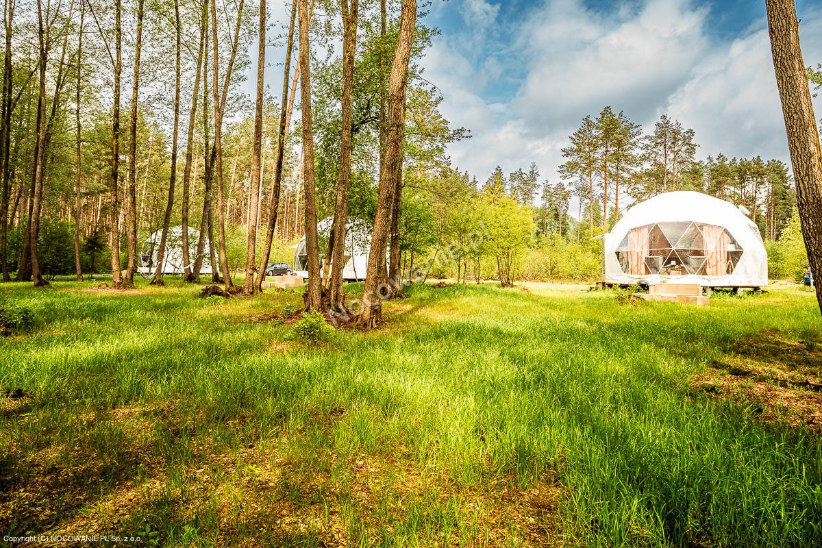 GLAMPING BORY TUCHOLSKIE - WIĘCEJ NIŻ DOMKI 