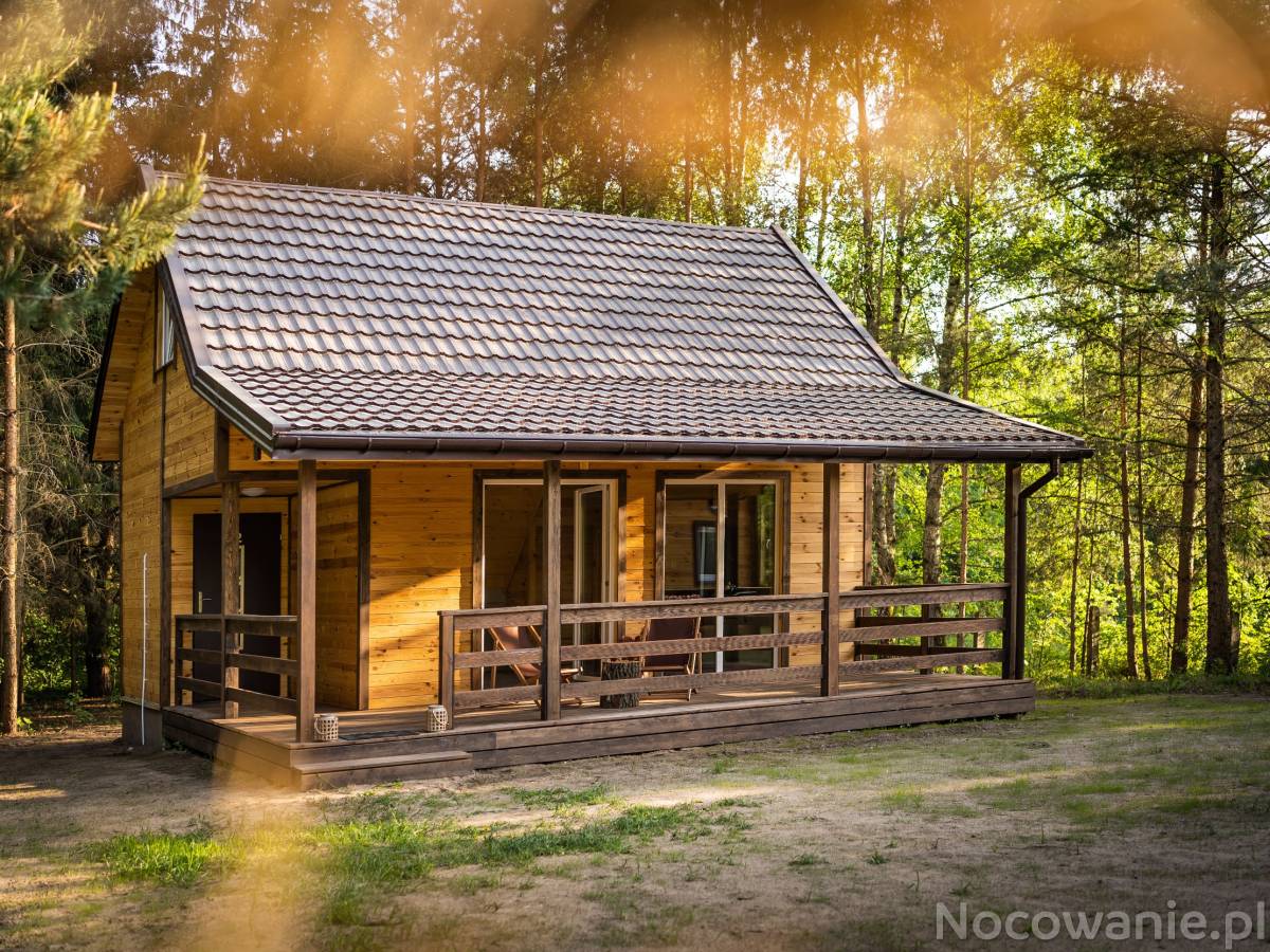 Zagajnik Białowieża