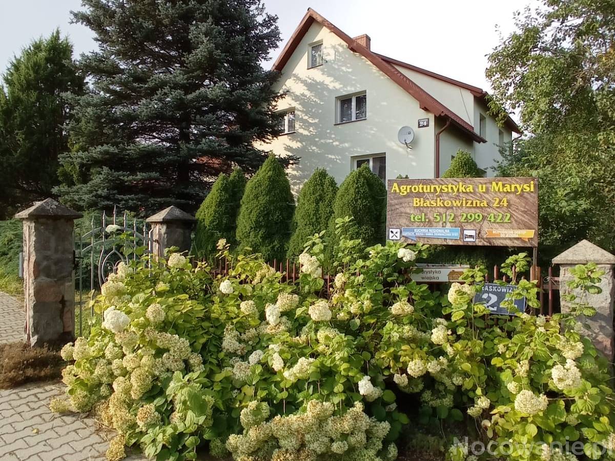 Agroturystyka u Marysi Nad Jeziorem Hańcza