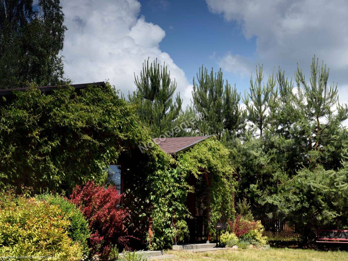 Domki Letniskowe Pod Brzozami