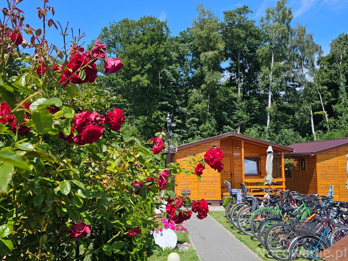 Domki letniskowe Wikar 