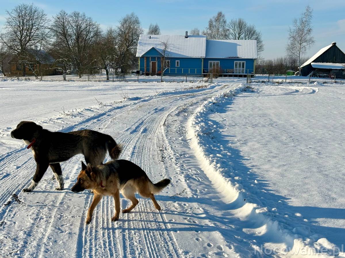 Wiejskie podwórze Ekologiczne gospodarstwo agroturystyczne